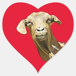 Meet your Posher, Maya